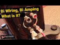 Bi Wiring, Bi Amping   What is it?