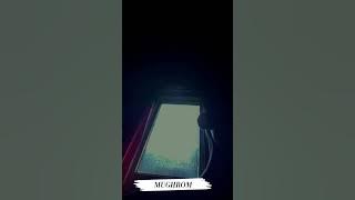 MUGRHROM SHOLAWAT VIRAL cover by MJ #mughrom #mjcover #shorts #sholawatnabi