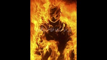 يَا أَيُّهَا الَّذِينَ آمَنُوا قُوا أَنفُسَكُمْ وَأَهْلِيكُمْ نَارًا ........(6) / سورة التحريم