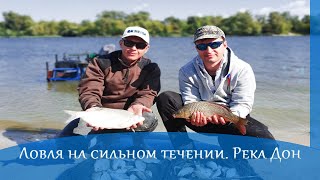 Ловля на сильном течении фидером. Река Дон.