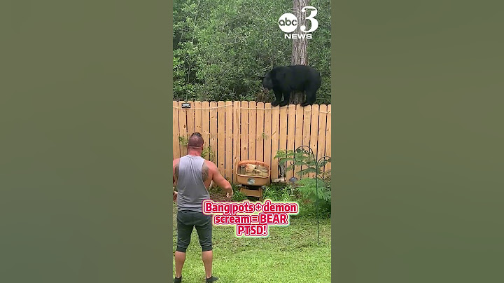 B.C. man has very close encounter with black bear Freeze