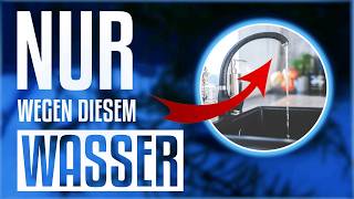 ❌ Warum deine Triops sterben! 🥺 🦐