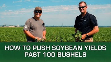 How to Push Soybean Yields Past 100 Bushels | Concept AgriTek