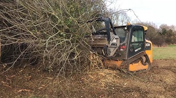 Machine vs Tree!!