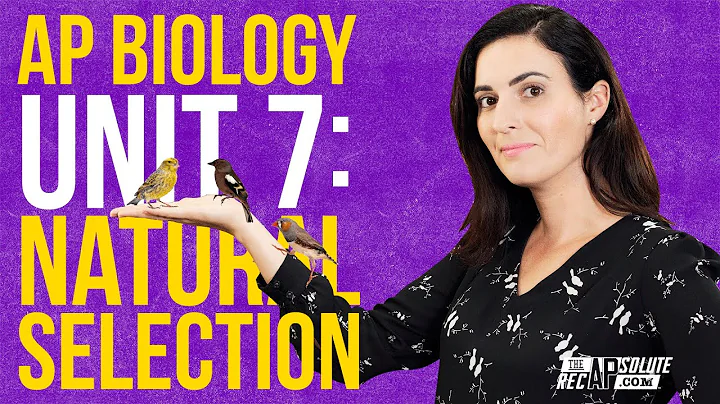 AP Biology Unit 7: Natural Selection Summary