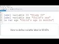 How to define variable label in STATA