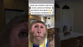 #tutorial #humor #memes #comedia #comentaycomparte #mono #monkey #fypシ #automobile #dúo #reels