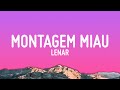 Montagem Miau Letra Lyrics 