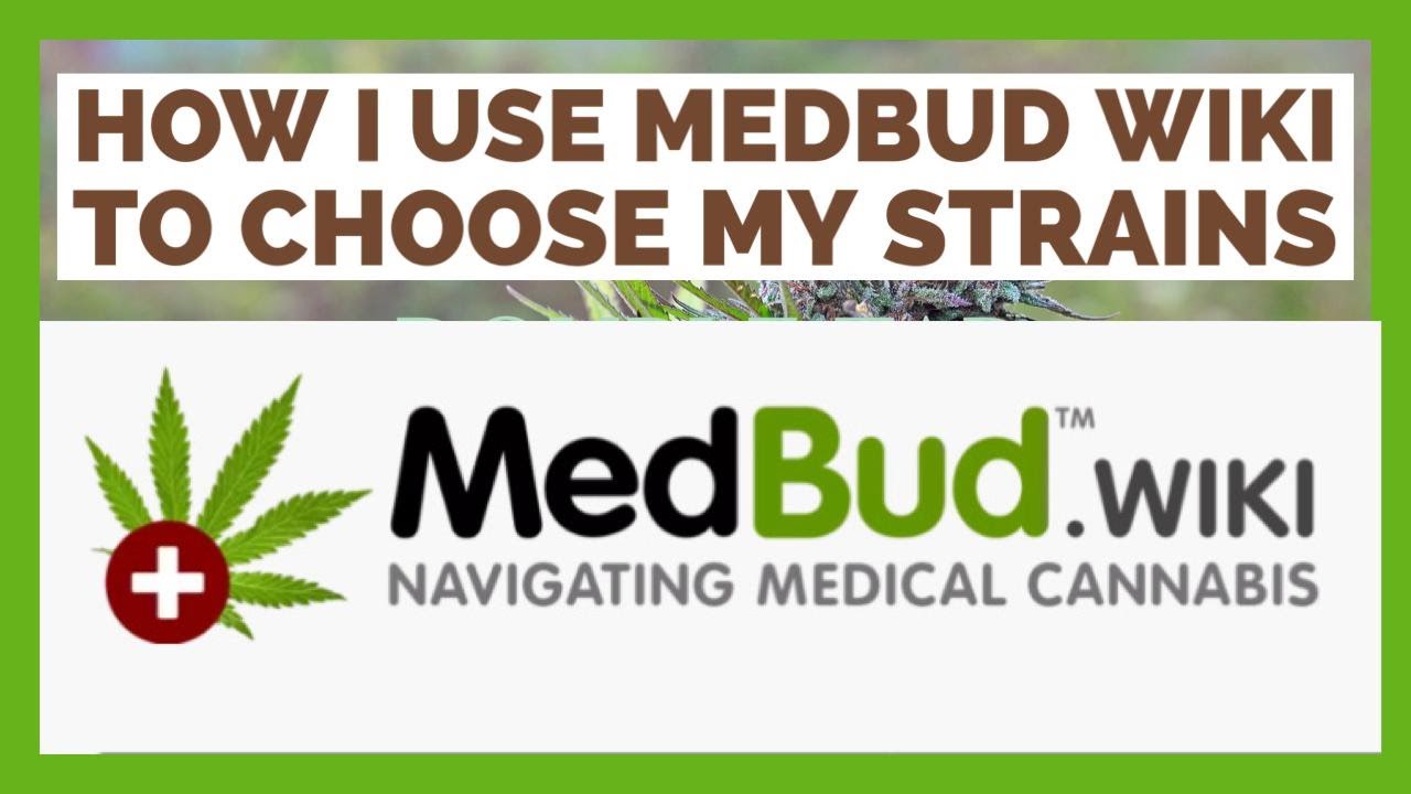How I use Medibud Wiki to Choose my Uk Medical Cannabis Strains
