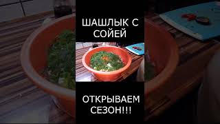 Шашлык в соевом соусе. Открываем сезон!!! #shorts