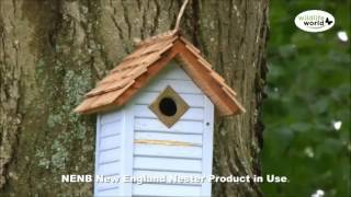 New England Bird Nest Box