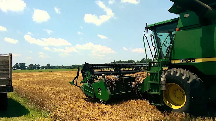 Wheat harvesting with Jerry Dempsey, J&S Farms.