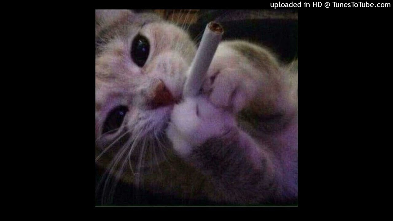 [FREE] Lungskull x Sigilkore x Axxturel Type beat - "chance2"