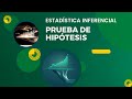 Prueba de Hipótesis | Estadística Inferencial