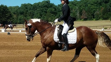 JJ Tate Application Video