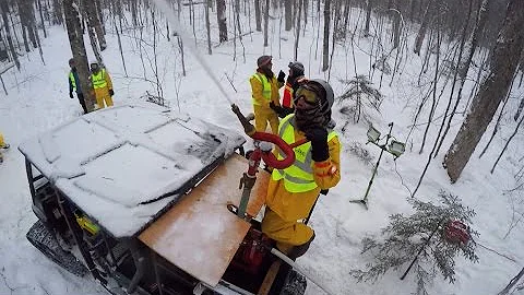 Scientists create ice storms to study nature's chilly response - Science Nation