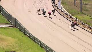 BEN WED 21 FEB 24 R1