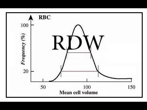 Video: RDW La Un Test De Sânge - Explicații, Motive Pentru Creșterea și Scăderea SD / CV