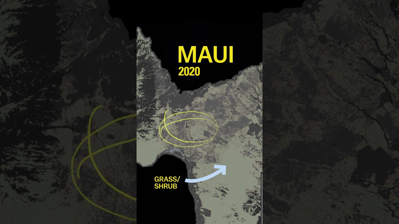 ⁣The surprising factor making Maui's wildfires worse #maui #hawaii #wildfire