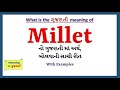 Millet meaning in gujarati  millet      millet in gujarati dictionary 