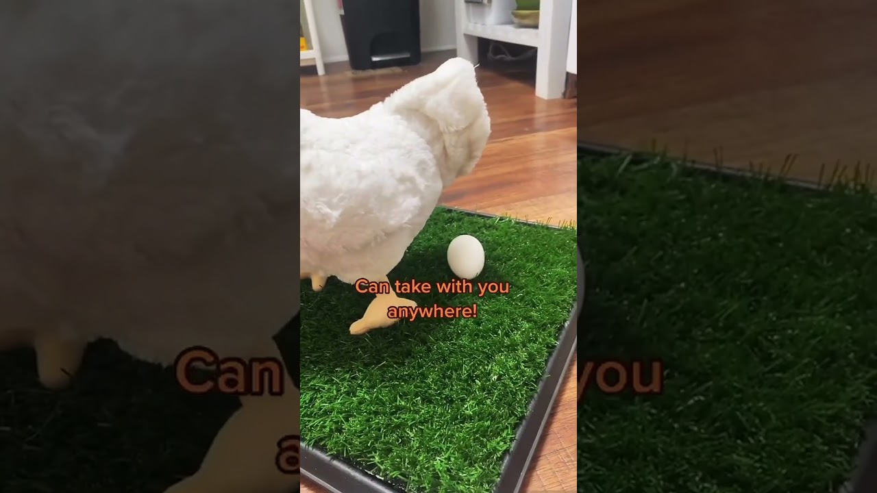 Must-have item! easy to clean & portable! 