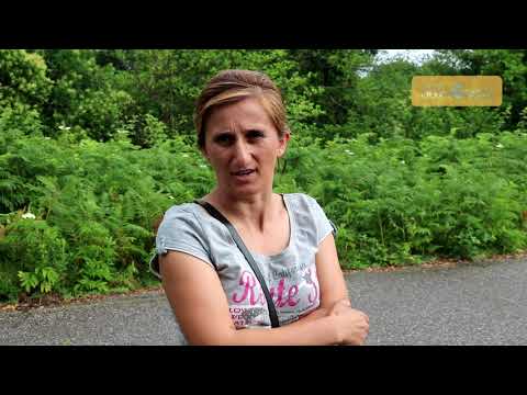 გალში მცხოვრებლებს ენგურის ხიდის გადაკვეთა აფხაზეთის მიმართულებით შეუძლიათ