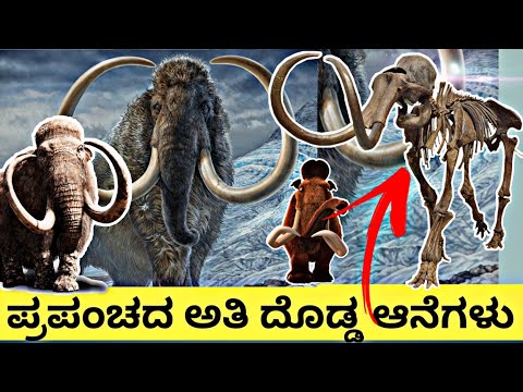 ಪ್ರಪಂಚದ ಅತಿ ದೊಡ್ಡ ಮಹಾಗಜ | Mammoth Site & Museum Hot Springs, South Dakota Black Hills  Kannada Vlogs