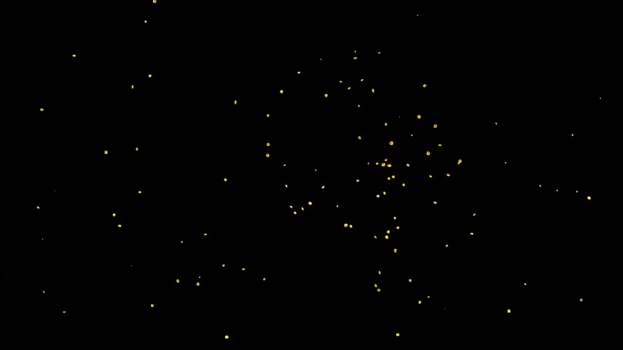 Gold Confetti Explosion Animation on a transparent background  Alpha channel