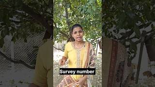 Survey Number | Land records | Measuring of land in TN| law in Tamil #sowkar #learnlaw