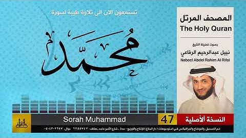 47 | سورة محمد | المصحف الكامل | نبيل الرفاعي | Nabil Al-Rifai