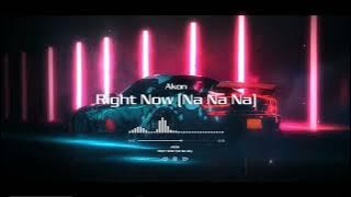Akon - Right Now (Na Na Na) | Slowed Reverb