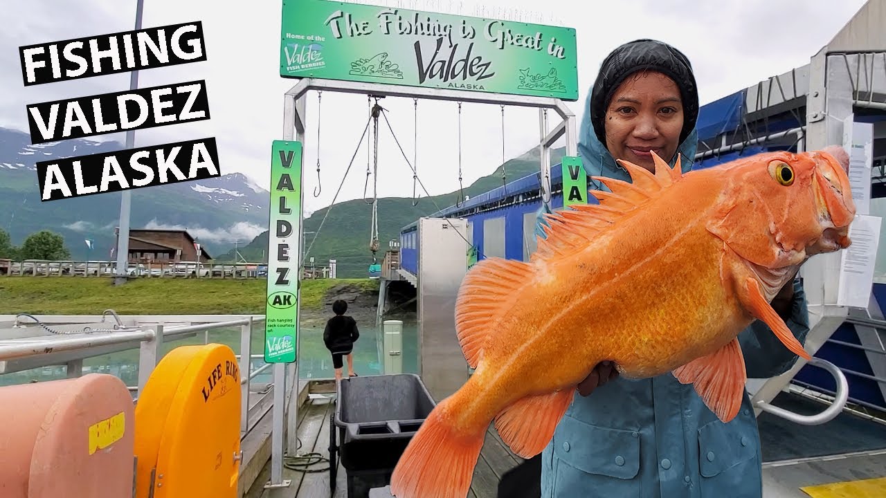 FISHING in VALDEZ ALASKA! - YouTube