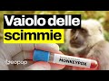 Il vaiolo delle scimmie non è come il Covid-19, cos'è e sintomi: intervista al funzionario dell’OMS