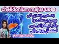 Homeopathic medicine for liver | gall blader stone homeopathy treatment