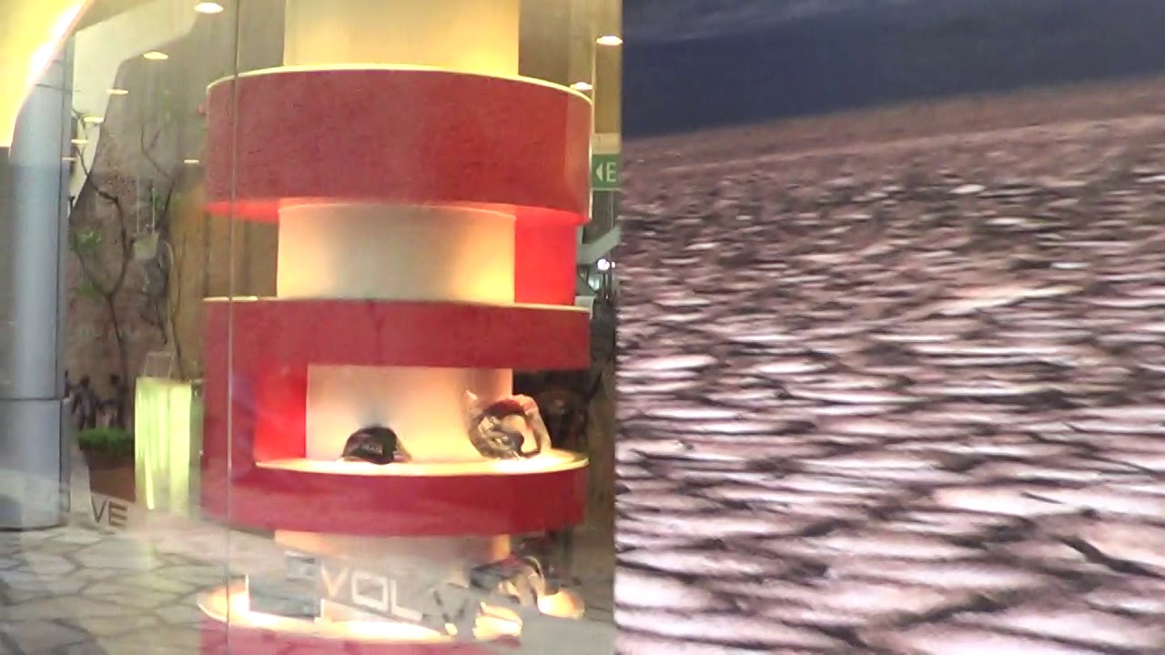 Walking into Evolve MMA Singpore seeing Shinya Aoki