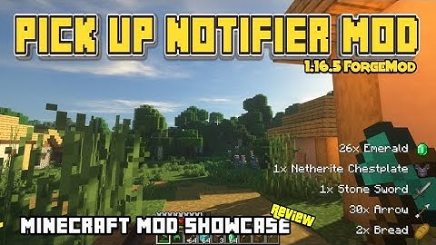 Minecraft 1.16.5 - Pick Up Notifier mod