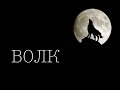 Волк отомстил без крови Волк отомстил без крови