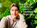 КОГО ВЫБИРАЛИ НЕМЦЫ ,КАК ПРОХОДЯТ ВЫБОРЫ В ГЕРМАНИИ ,ПРОЦЕСС ГОЛОСОВАНИЯ, ЯВКА ИЗБИРАТЕЛЕЙ