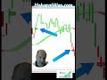 Professional NinjaTrader $49 Trading Tools- Catch the Delta
