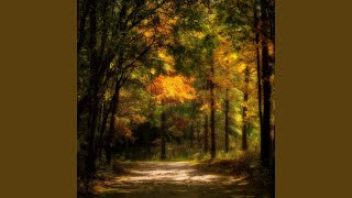 Nature Night Harmonic Aria