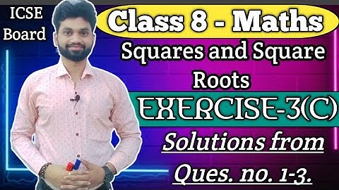 Squares & Square Roots, Class 8th, Exercise -3(C) Solutions