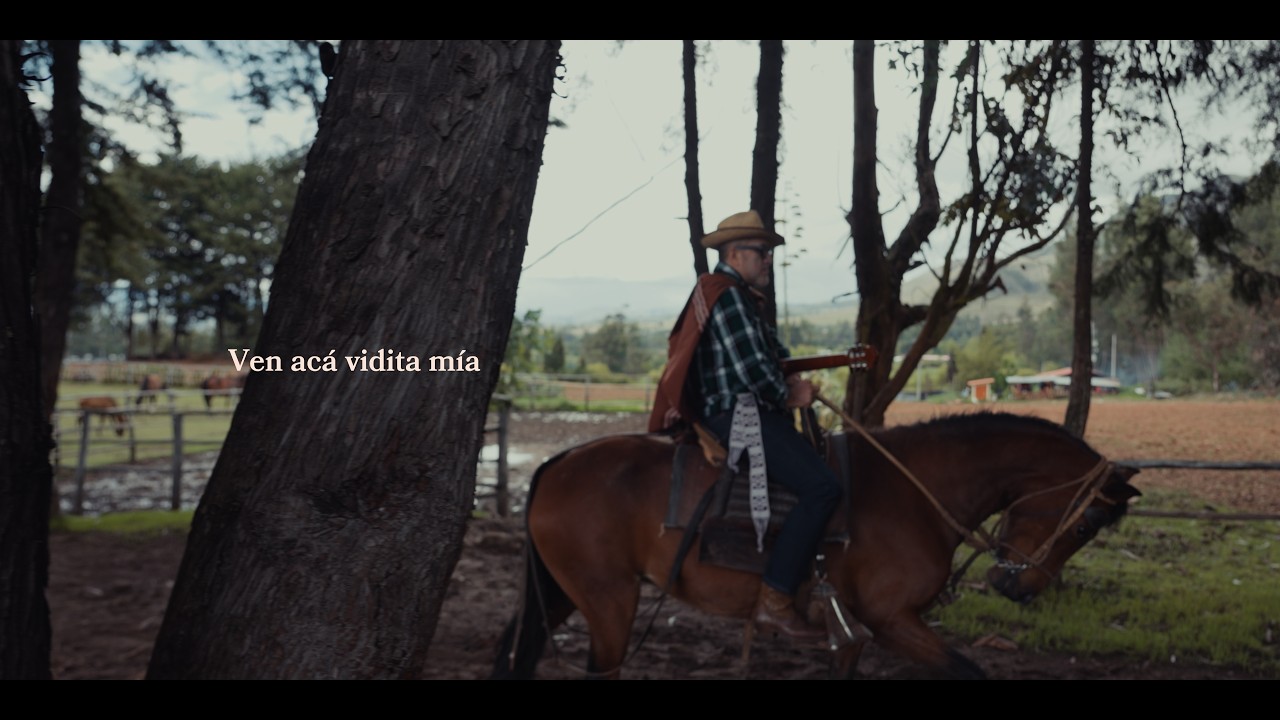 Son de Namora - Ven acá vidita mía