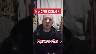 Мысли кошек о Куклачеве карты Таро расклад картытаро таро тарорасклад гадание гаданиенатаро