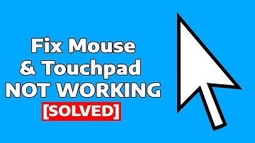 How to Fix Mouse/Touchpad Not Working On Windows 11/10 Laptop or Desktop