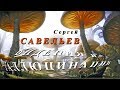 С.В. Савельев. Галлюцинации