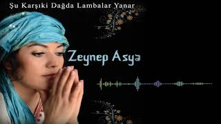 Bahçanın Harımıyım - Zeynep Asya Resimi