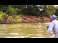 Parana River Argentina Golden Dorado fly fishing-Latin América IF4 selection.