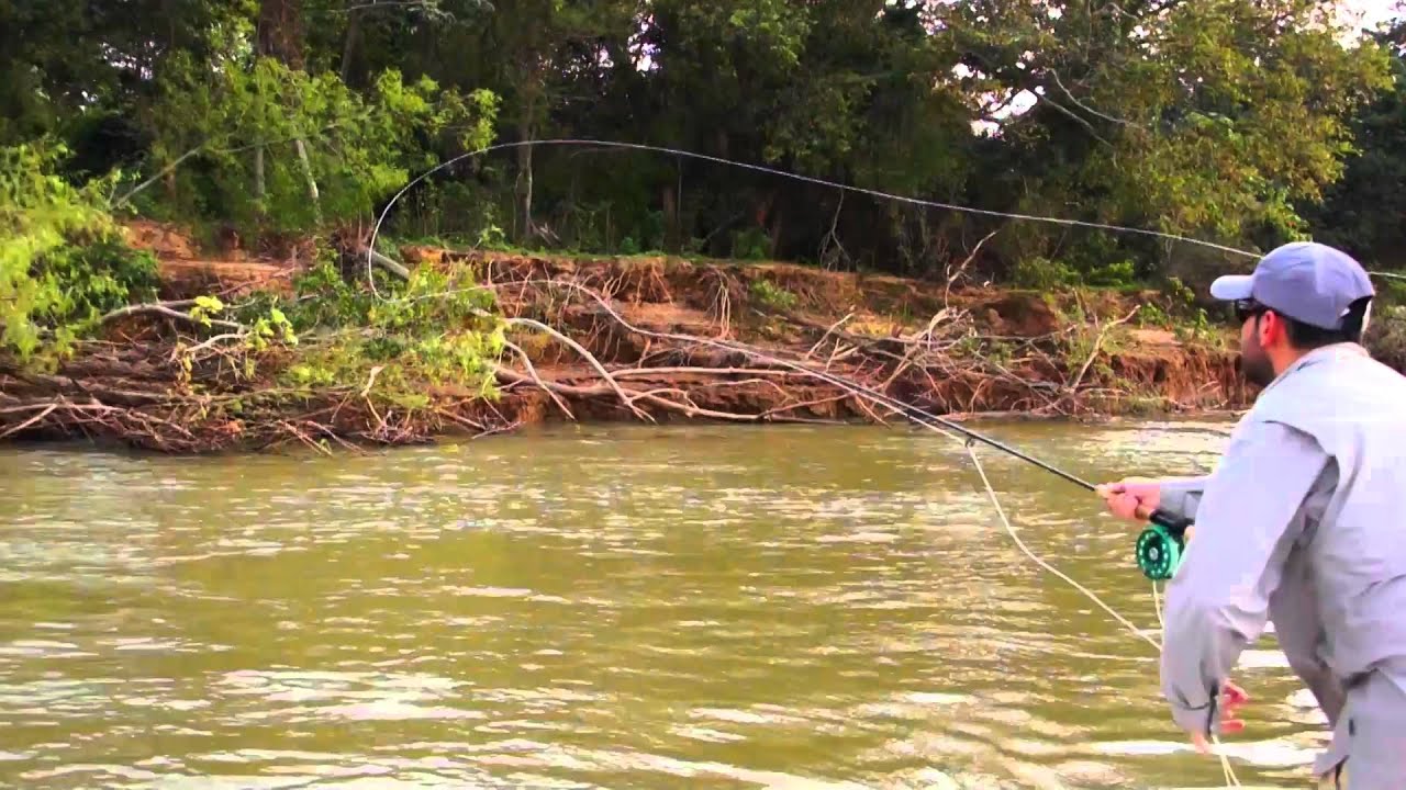 Parana River Argentina Golden Dorado fly fishingLatin América IF4