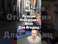Отведения вбок лежа для ягодиц. Жопомахи для верха ягодиц и для большой ягодицы. #накачатьягодицы
