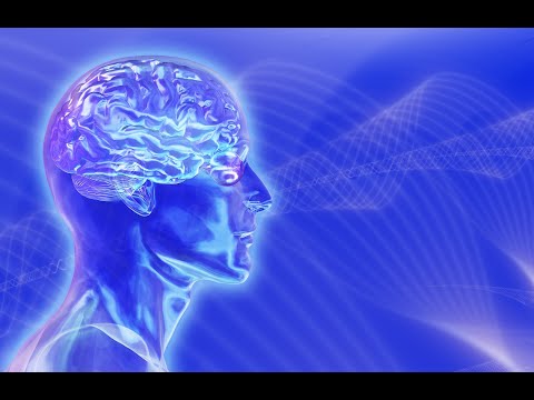 გენეტიკა და კულტურა